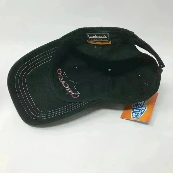 Sky Deck Ledge Chicago 1837 Adjustable Cap NWT - Picture 6 of 7